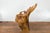 Late 20th Century Rustic Vintage Chinese Camphor Wood Tree Root Armchair with Light Varnish For Sale - Image 5 of 12