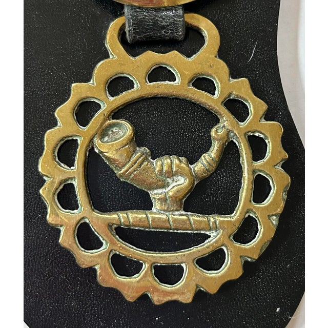 English Martingale Dereham Leather Horse Strap With 5 Horse Brasses For Sale - Image 4 of 7