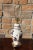Mason's Ironstone Mason's Ironstone Blue Mandalay Lamp on Brass Base For Sale - Image 4 of 12