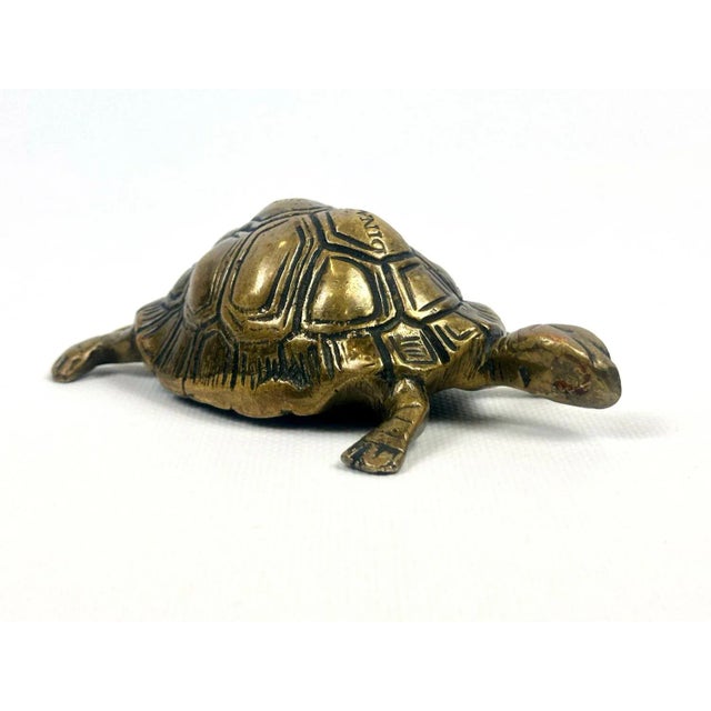 Vintage Brass Turtle Figurine from Dinant, 1960s For Sale - Image 11 of 11