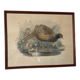Vintage Pair M&n Hanhart Lithographs Pheasants For Sale