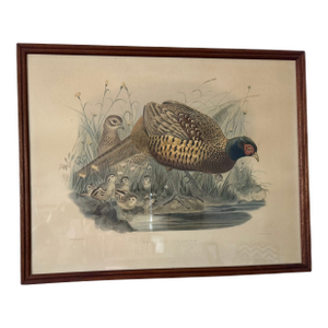 Vintage Pair M&n Hanhart Lithographs Pheasants