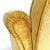 Mid-Century Modern Italian Yellow Velvet Chairs by Tito Agnoli for Poltrona Frau, 1950s, Set of 2 For Sale - Image 12 of 18