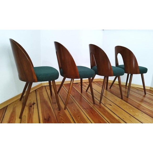 Dining Chairs by A. Suman for Tatra Nabytok, Former Czechoslovakia, 1960s, Set of 4 For Sale - Image 4 of 18