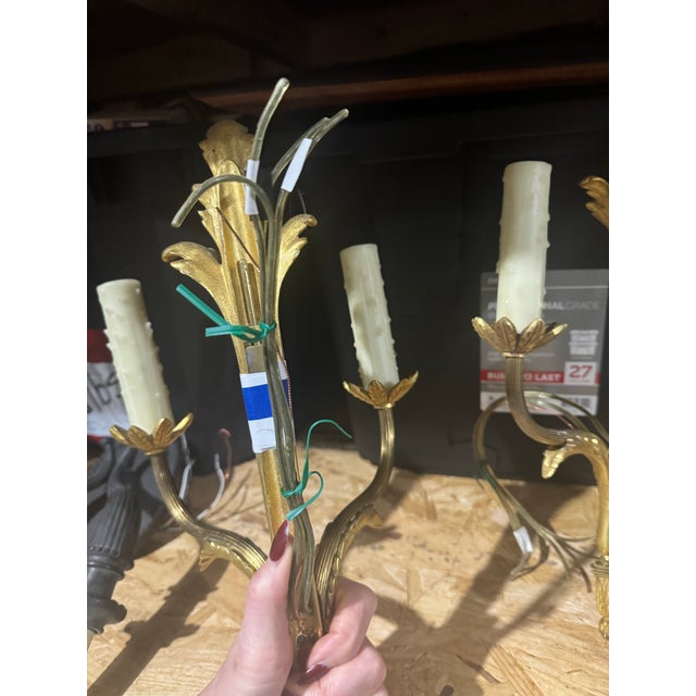 French Louis XVI Dore Bronze Wall Sconces - a Pair For Sale - Image 4 of 4