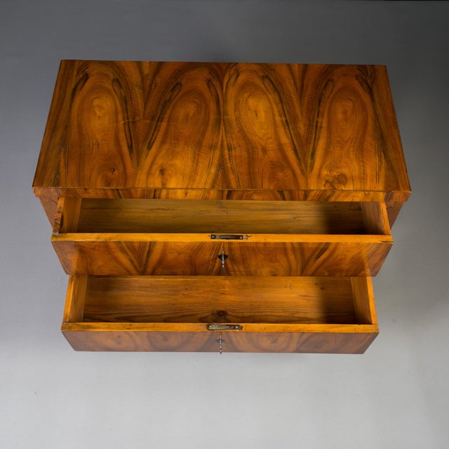 Brown Antique German Biedermeier Chest of Drawers, 1800s For Sale - Image 8 of 13