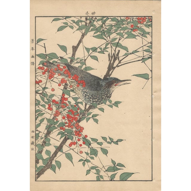 Imao Keinen, Brown-Eared Bulbul, 1892, Print For Sale - Image 12 of 13