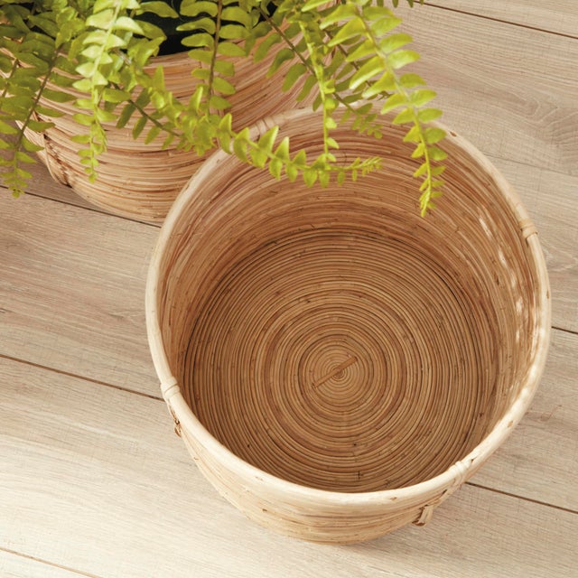 Kenneth Ludwig Chicago Cane Rattan Round Tree Baskets, Set Of 2 For Sale - Image 4 of 4