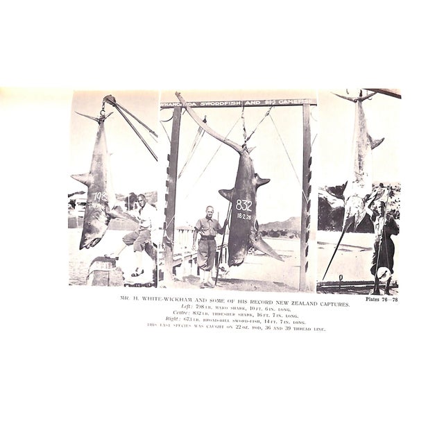 Paper "Sea Fishing Vol Xvii" Book 1934 Cooper, A.E. For Sale - Image 7 of 8