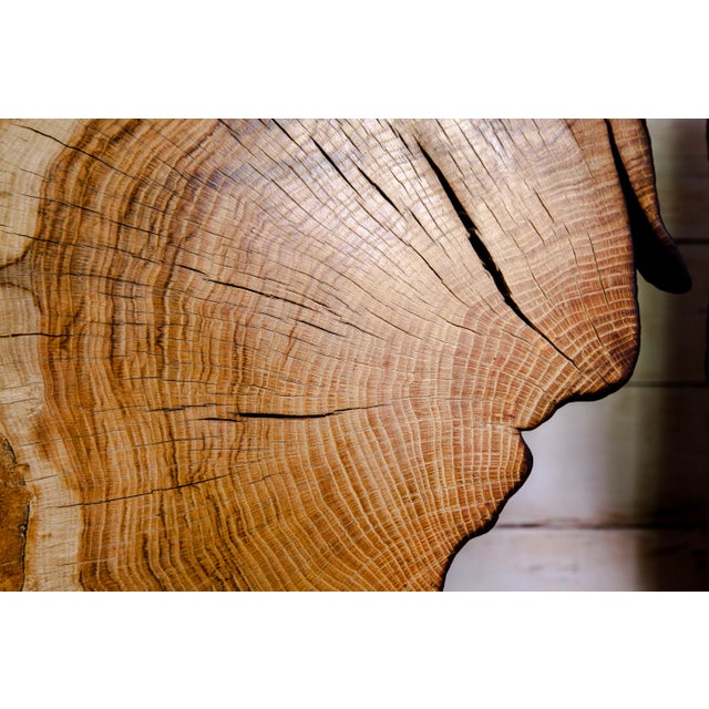Contemporary Indra Collection Yakisugi Modern Organic Wood Sculpture - Set of 2 For Sale - Image 9 of 10