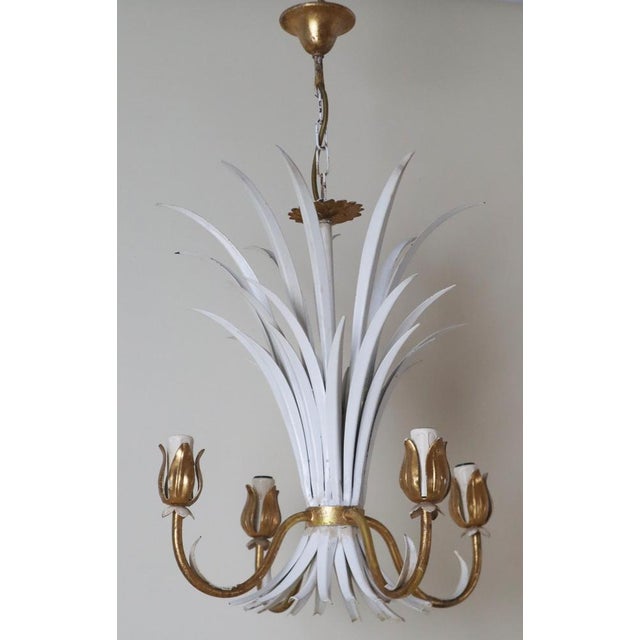 This chandelier is truly one-of-a-kind. It's a masterpiece of elegance and timeless romance. The design is beautifully...