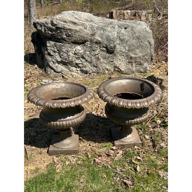 English Late 20th Century Shallow Form English Cast Iron Urns - A Pair For Sale - Image 3 of 10