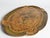 1950s Mid-Century Florentine Rococo Scalloped Giltwood Tray, Italy, 1950s For Sale - Image 5 of 12