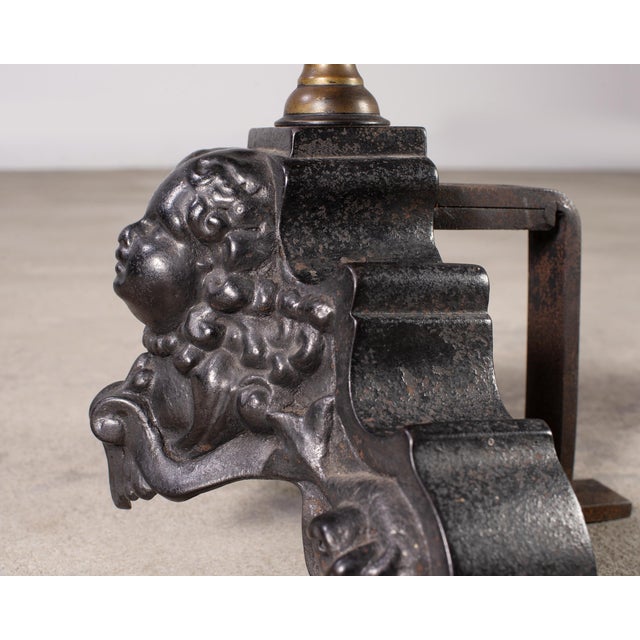 Pair of Dutch Baroque Style Iron Brass Andirons For Sale - Image 16 of 18