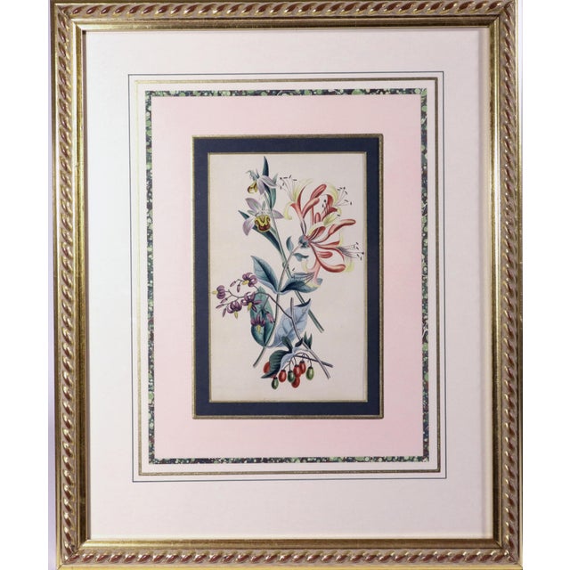 Robert Mackenzie Stark Pair of Botanical Prints From ‘Lessons From the Vegetable World’ For Sale - Image 9 of 11