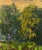 Oil Painting Spring Sunset Over the River Boris Serdyuk For Sale - Image 4 of 10