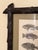 French Early 19th Century Black Forest Framed C. Motte Fish Engraving, on Grasscloth For Sale - Image 3 of 8