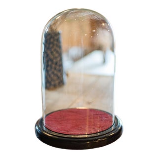 Small Antique Display Case, English, Glass, Taxidermy Dome, Victorian, C.1900 For Sale