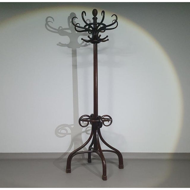M.30 Hat and Umbrella Stand from Thonet For Sale - Image 13 of 17