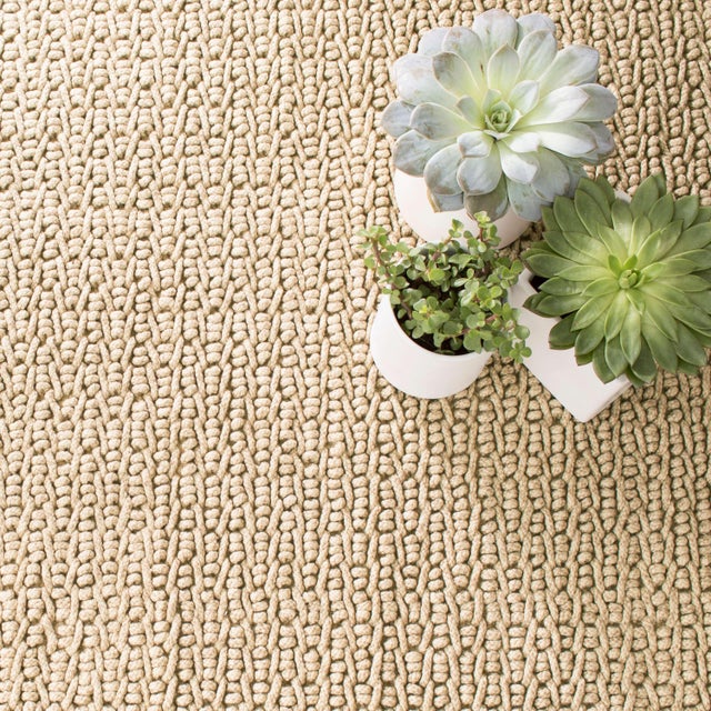 Look closely: the chunky texture and organic look of this rug is just like jute. But it's actually scrubbable, hoseable,...