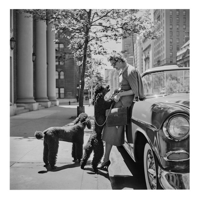 Slim Aarons, Inga Lindgren and Poodles, Estate Stamped Digital Print For Sale