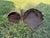 Vintage Sculptural Rattan and Bamboo Wall Pockets, a Coordinated Pair For Sale - Image 9 of 11