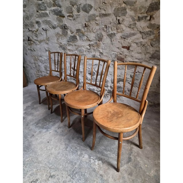 Vintage Bentwood Bistro Chairs from Fischel, Czechoslovakia, 1940s, Set of 4 For Sale - Image 3 of 18