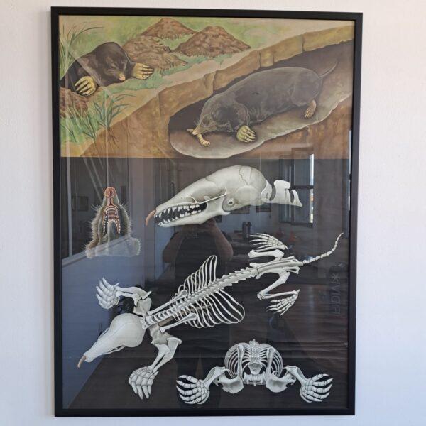 Vintage Tourist Festival Poster – Sweden (1960s)