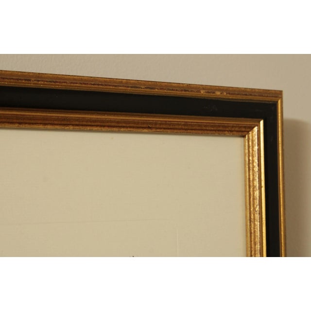 Vintage 'The Mock-Bird' Engraving after Mark Catesby For Sale - Image 9 of 13