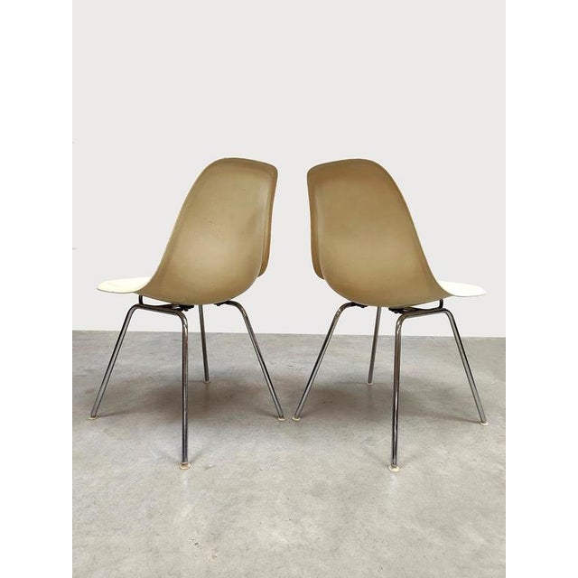 Vintage Fiberglass DSX Dining Chairs by Charles & Ray Eames for Herman Miller, 1960s, Set of 6 For Sale - Image 6 of 9