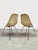 Vintage Fiberglass DSX Dining Chairs by Charles & Ray Eames for Herman Miller, 1960s, Set of 6 For Sale - Image 6 of 9