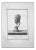 Nicola Billy, Profile of Ancient Roman Bust, Etching, Late 18th-Century For Sale