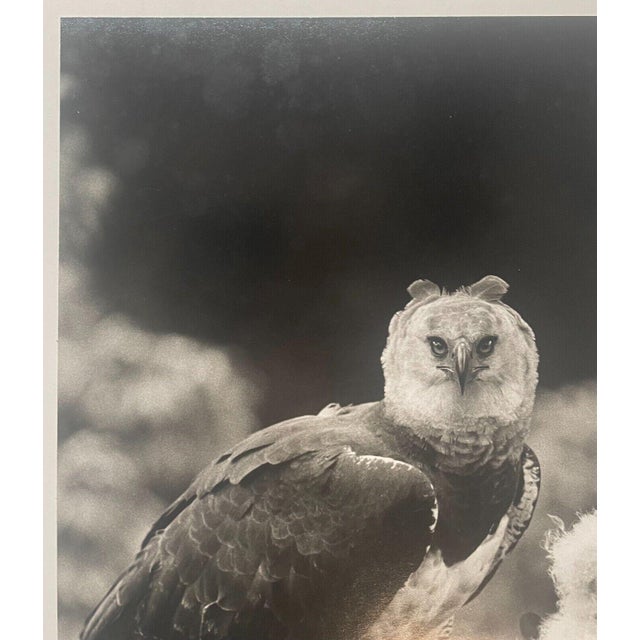 This is a great piece. When I found this photograph in the back of an antique shop, I was very excited. This is one of...