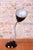Bauhaus Table Lamp by Eric Kirkman Cole, Czech, 1930s For Sale - Image 4 of 11