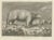 Cook, Polar Bear, 1803, Paper For Sale
