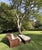 Mark Hampton for Hickory Chair Woven Lounge Chairs & Ottomans in Colefax & Fowler—Set of 2 For Sale - Image 16 of 18