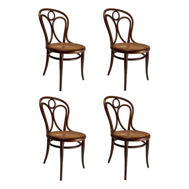 Austrian Bent Beech Chairs, 1890s, Set of 4 For Sale