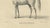 Paper August Jäger, Horse Bairaktar, 1846, Paper Lithograph For Sale - Image 7 of 10