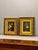 Pair of 20th Century Oil on Board Floral Still Life Paintings in Giltwood Frames For Sale - Image 11 of 12