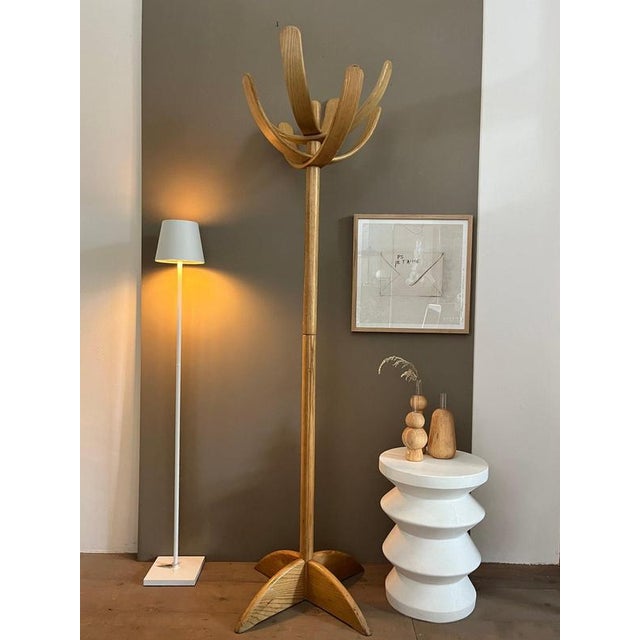 Cactus Coat Rack by Mauro Pasquinelli for Pallavisini, 1970s For Sale - Image 4 of 13