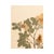 Vintage Swedish Herbarium - Cinnamon Rose, circa 1933
