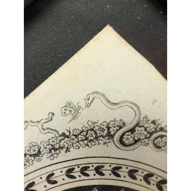 Grand Tour Classical Friezes, 1790, Stipple Engravings, Set of 3 For Sale - Image 11 of 18