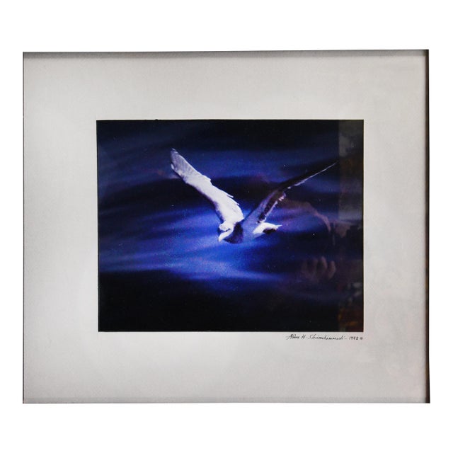 Moonlit Flight Art Deco Photograph For Sale