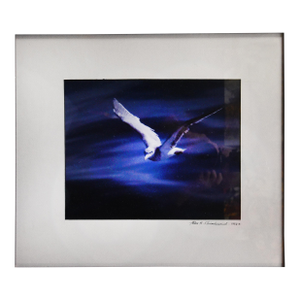 Moonlit Flight Art Deco Photograph