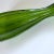 Mid 20th Century Tall Mid-Century Emerald Green Vase. For Sale - Image 5 of 7