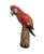Bring vibrant tropical character and artistic craftsmanship into your decor with this striking vintage ceramic macaw...
