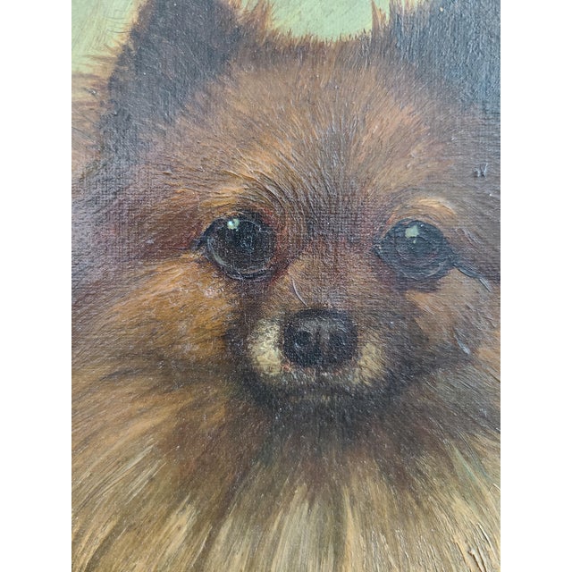 Small Antique 19th Century Oil Painting Portrait of a Pomeranian Dog For Sale - Image 4 of 14