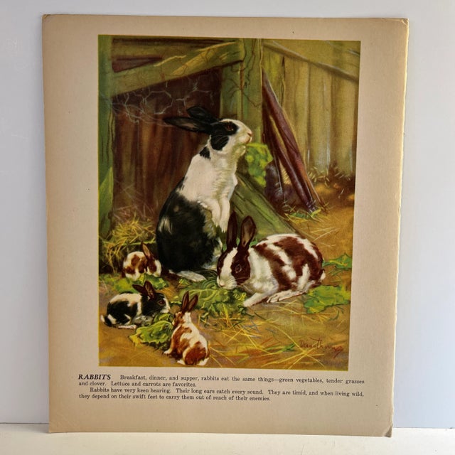 1940s Diana Thorne Rabbits Illustration Print For Sale - Image 4 of 4