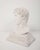 Cast in finely textured plâtre (plaster) with the soft, porous surface of quarried stone, this mid-century French bust...