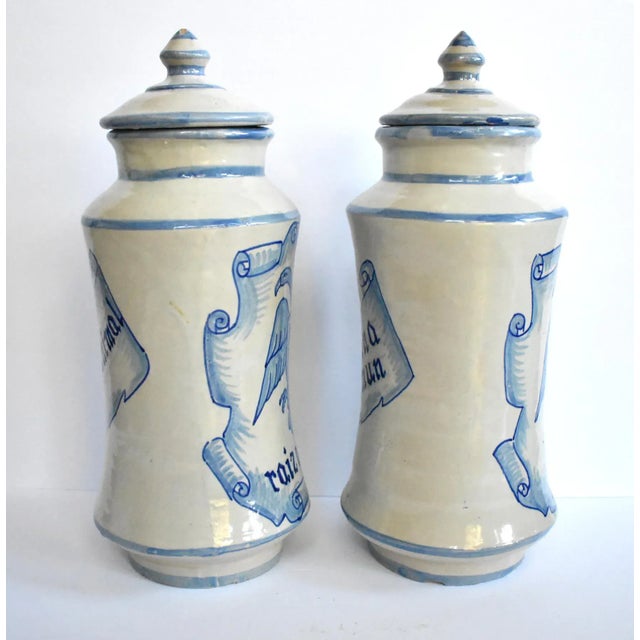 Gothic Pair of Spanish Apothecary Alberelos Jars For Sale - Image 3 of 12